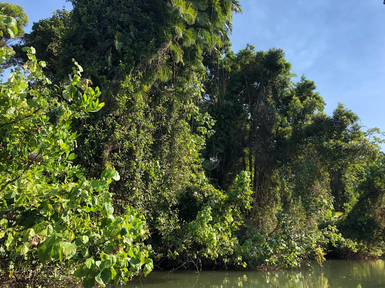 3671A283-B428-4442-ABA7-058362ED4D39